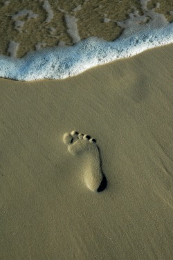 Footprint