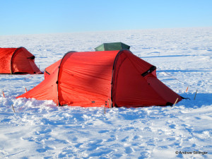 tent IMG_6898