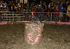 Pig Wrestling - Courtesy Flickr